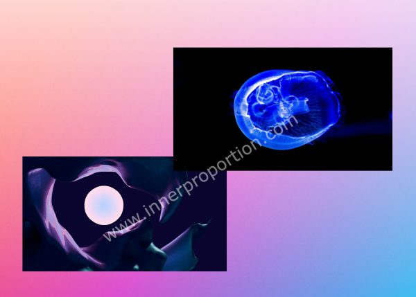 تصویر زمینه کژوال ipt - مجموعه 10 عددی (محصول دیجیتال)